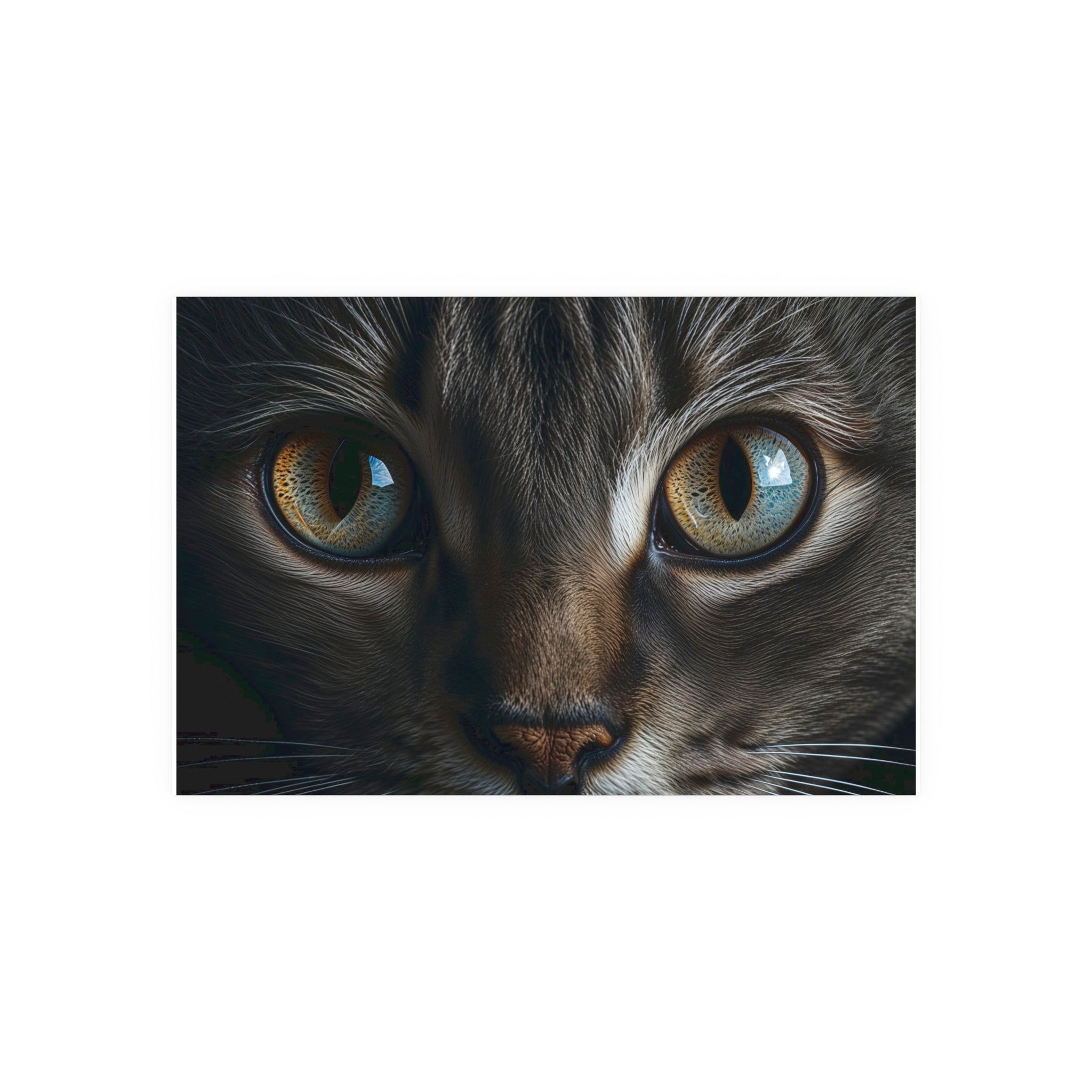 Close-Up Cat Eyes Poster | Cat Eyes Wall Art, cat lover poster