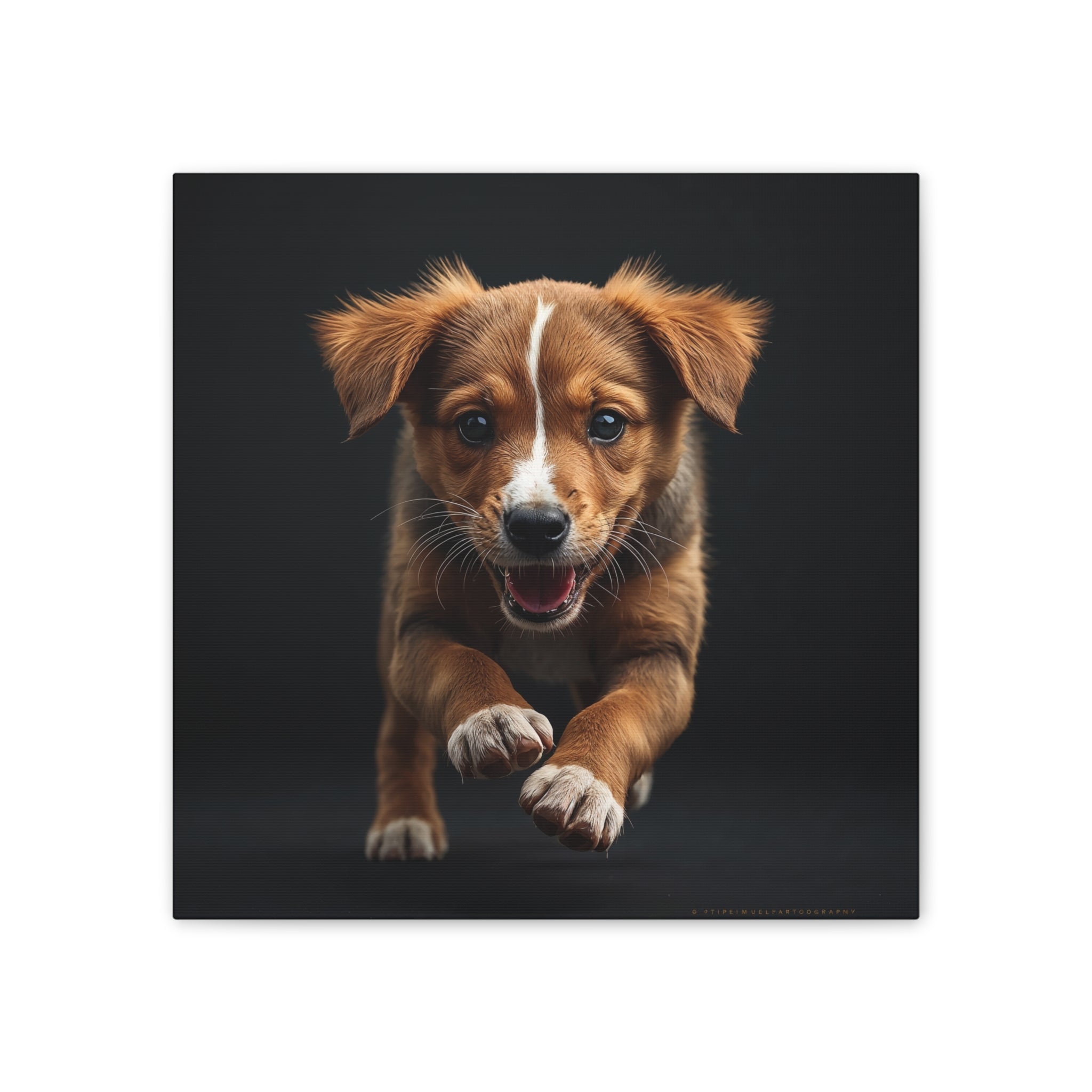 Playful Puppy Portrait Canvas, gift for dog lovers