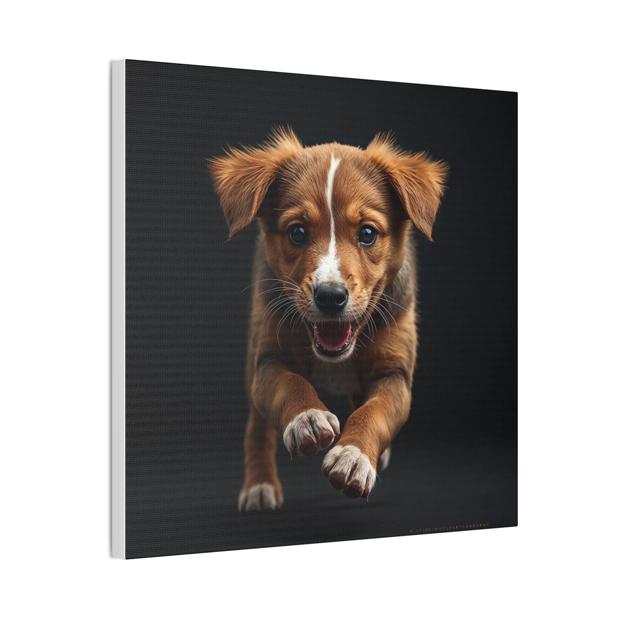 Playful Puppy Portrait Canvas, gift for dog lovers