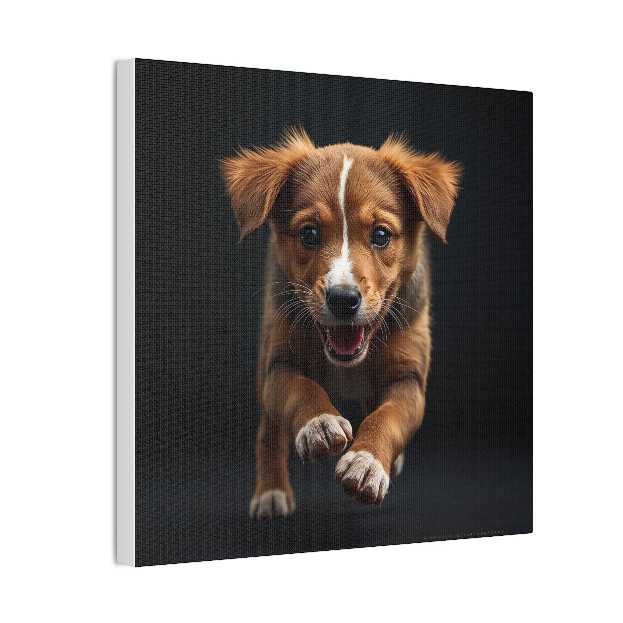Playful Puppy Portrait Canvas, gift for dog lovers