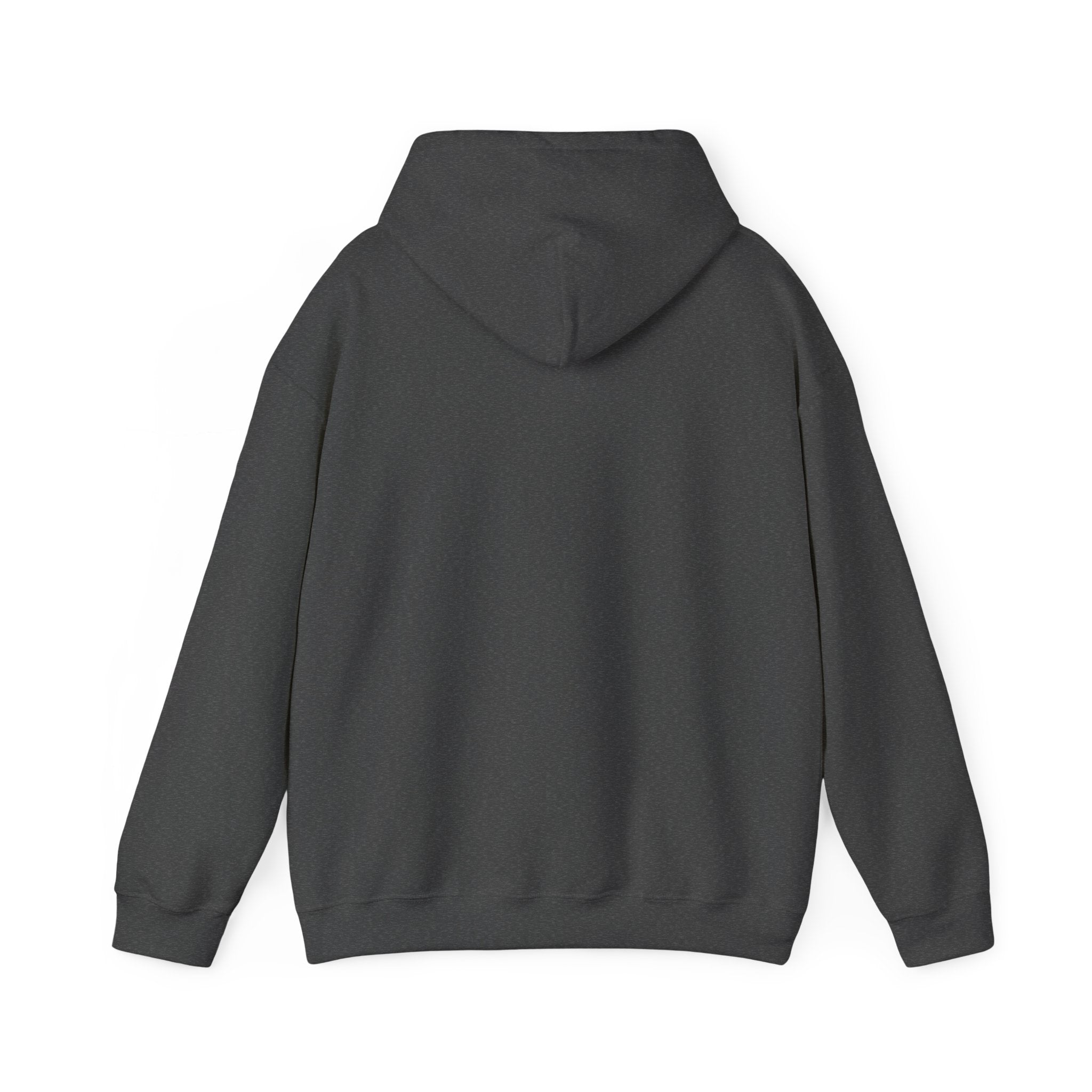 Abstract Art Hoodie, Art Portrait Sweatshirt, Limited Edition Hoodie