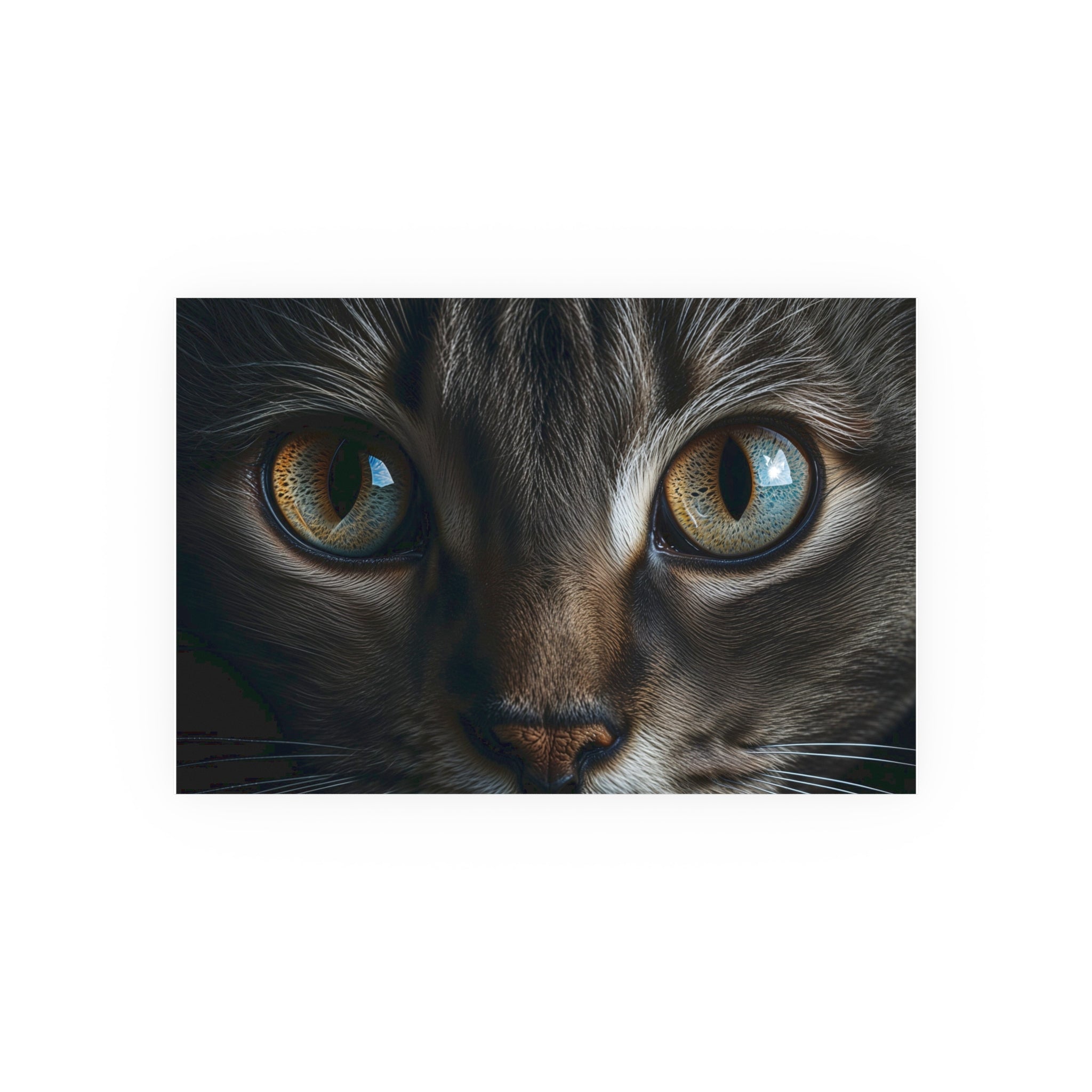 Close-Up Cat Eyes Poster | Cat Eyes Wall Art, cat lover poster