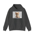 Sweat à capuche illustré d'un adorable chaton orange | Sweat-shirt graphique chat mignon