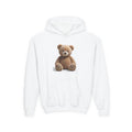 Brown Teddy Bear Youth Hoodie | Cute Plush Toy Illustration